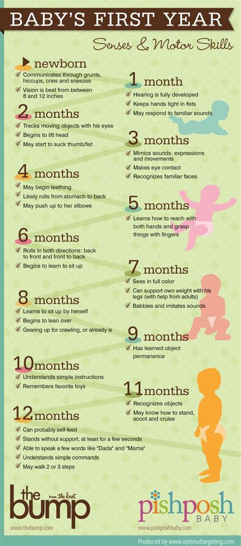 Diary of a Fit Mommy: Baby's First Year Milestones