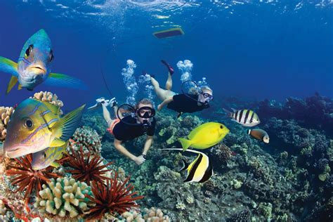 Finding The Best Snorkeling In Maui For Families