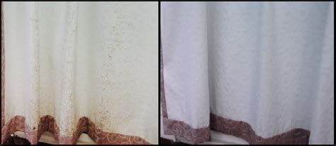 Mould Cleaning Services Newcastle, Port Stephens, Maitland, Gosford