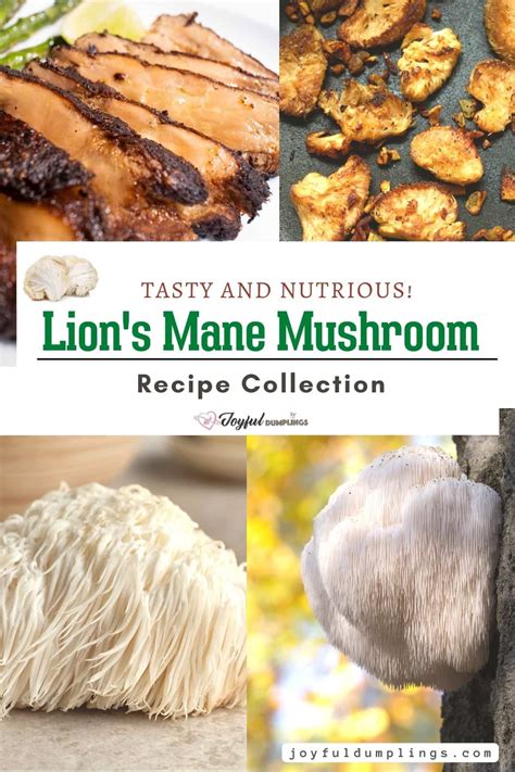 16 Lion's Mane Mushroom Recipes (Super Flavorful!) » Joyful Dumplings Recipes