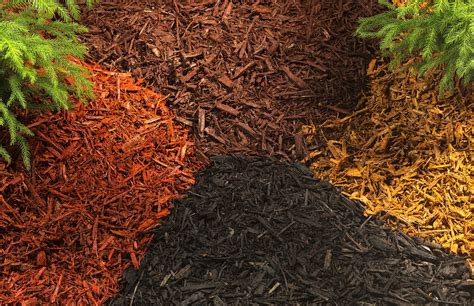 Different types of mulch – Kell's Garden City