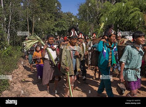 MYANMAR Sagaing Division Naga people marching to the Naga New Year ...