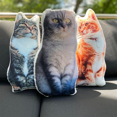 Custom Shaped Cat Pillow | Made In USA – All About Vibe