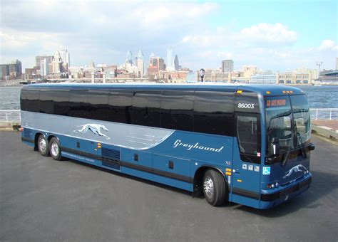 Greyhound Bus Reviews 2024 - Trudi Hyacinth