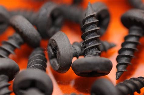 Black metal screws. stock photo. Image of cross, screws - 114351596