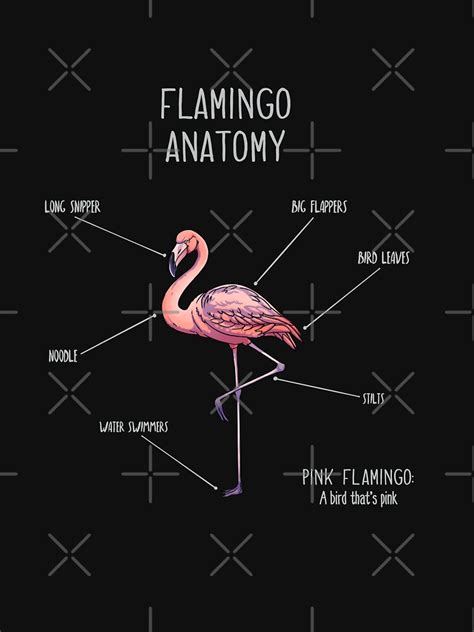 "Flamingo anatomy" T-shirt by AnimalArtist | Redbubble