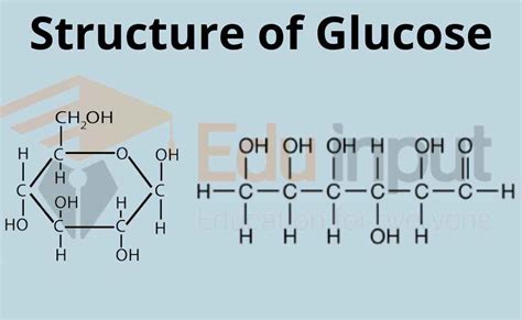 What is Glucose?-Formula, Structure, Types, and Functions