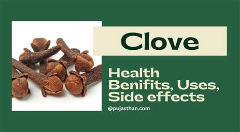 Amazing Health Benefits Of Cloves: Uses, Nutrition And Side Effects - Pujasthan