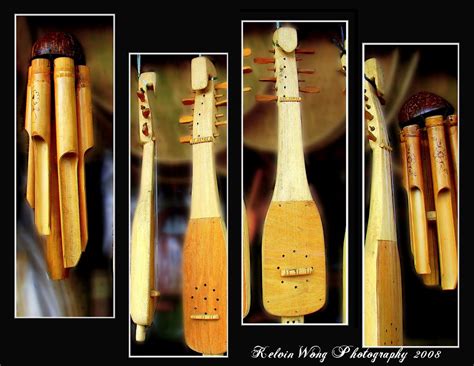 Local Musical Instruments ~ Chordophones | To be honest, I n… | Flickr