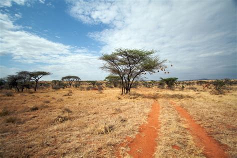 What's in the Camera Bag? Kenya Photo Safari