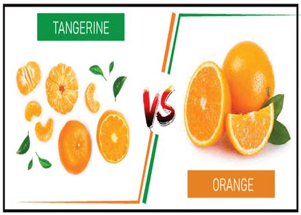 Difference Between Orange and Tangerine - javatpoint