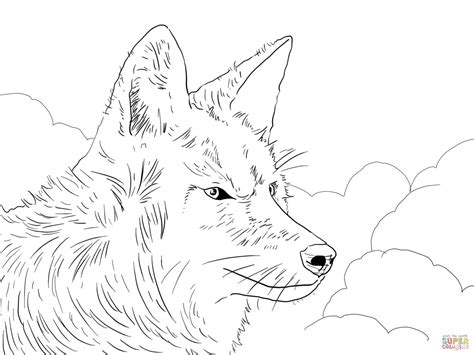 Coyote Howling Drawing at GetDrawings | Free download