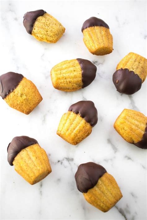 Chocolate Dipped Madeleines - A Hedgehog in the Kitchen