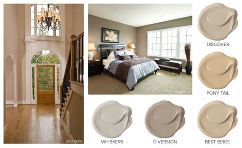 Paint Color Best Beige | Paintcolor Ideas Whiter Than The Whitest