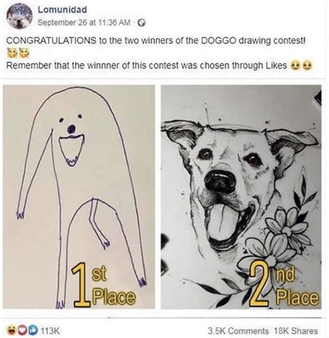 Congratulations To The Two Winners Of The DOGGO Drawing Contest - Meme ...