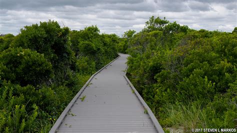 Fire Island National Seashore | HIKING