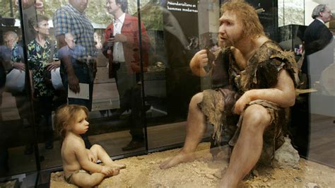 Don't clone a Neanderthal baby - CNN