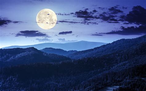 1680x1050 Forest Night Moon Clouds 4k Wallpaper,1680x1050 Resolution HD 4k Wallpapers,Images ...