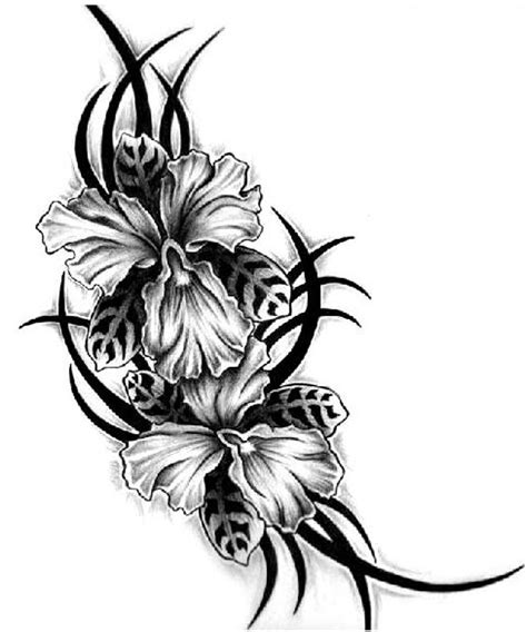 Cattleya Flower Tattoo Meaning