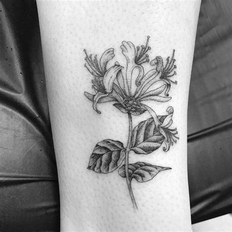 57+ Honeysuckle Flower Tattoo Designs With Minimalist Meaning - Tattoo Glee