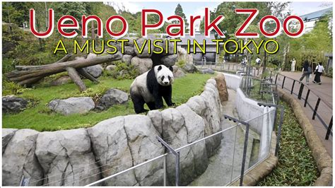 UENO PARK ZOO | A MUST visit in Tokyo - YouTube