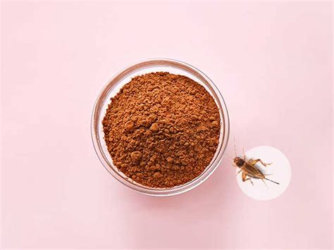 Cricket Flour: Protein Count, Nutrients, Taste, and Recipes