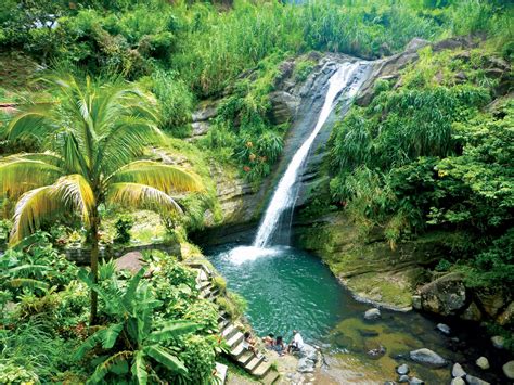 Exploring Caribbean Waterfalls: Hidden Gems in Grenada - ALL AT SEA