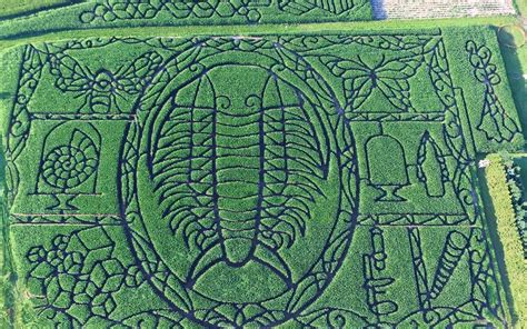 The Best Corn Mazes in America | Reader's Digest