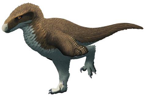 dromaeosauridae – Nix Illustration