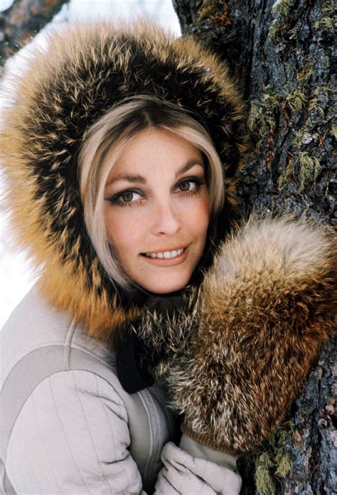 Top 999+ Sharon Tate Wallpapers Full HD, 4K Free to Use