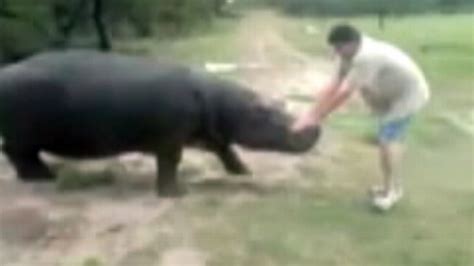 Pet Hippo Kills Its Owner - ABC News