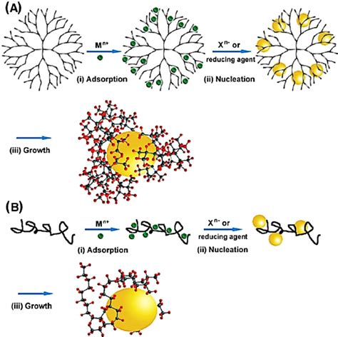 Synthesis of aqueous nanocrystals using stabilizers (A) dendritic and ...