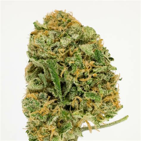 Blue Dream Strain Information & Reviews | Where's Weed