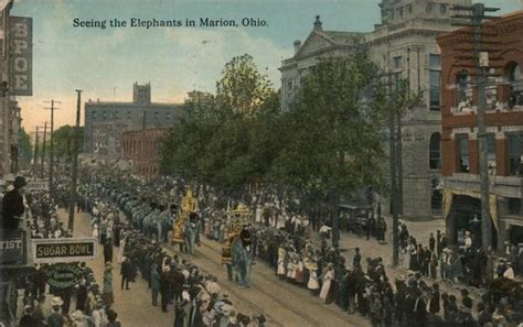 Seeing the Elephants Marion, OH Postcard