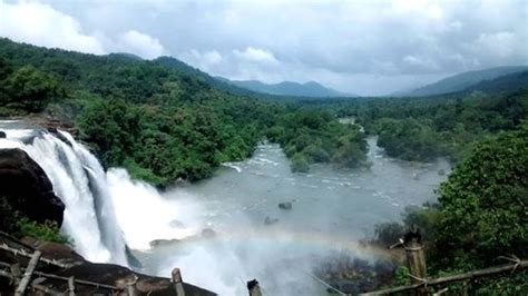 Valparai: Waterfalls, wilderness and solace - The Tap Stories