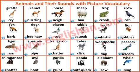 Animals And Their Sounds In Hindi