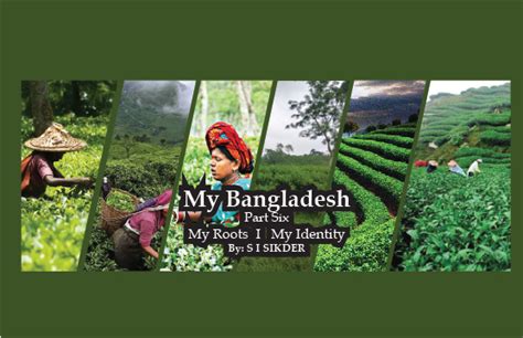 The Most Breathtaking Tea Gardens in Sylhet - CineBuzz Times