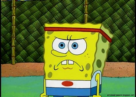 Angry Spongebob Face Wallpaper | All HD Wallpapers