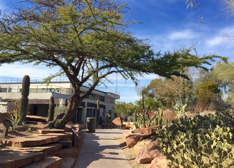 Red House Garden: The Ethel M. Chocolate Factory's Botanical Cactus Garden