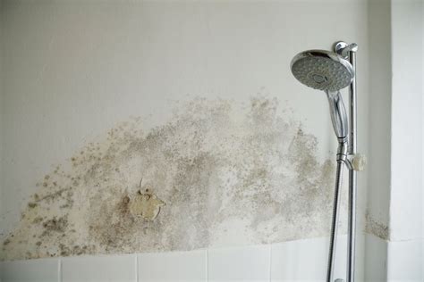 Mold Bathroom Ceiling Health Hazard | Shelly Lighting