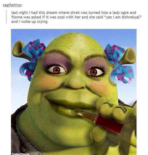 XD WOOOW | Shrek memes, Shrek, Tumblr funny