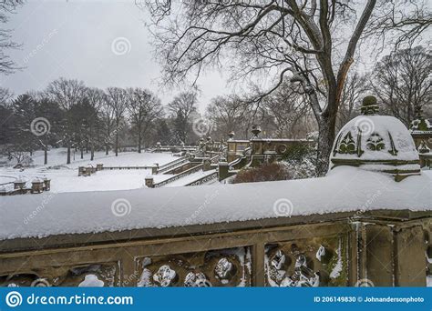 Central Park in winter stock photo. Image of trees, frozen - 206149830