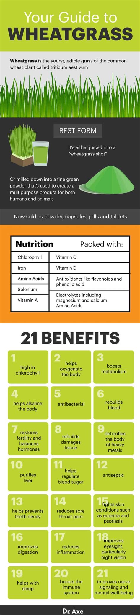 Wheatgrass Benefits, Nutrition, Uses, Recipes and Side Effects - Dr. Axe