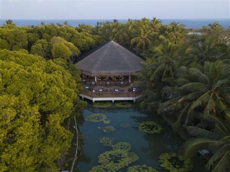 Lake View Bar – Dreamland Maldives Resort