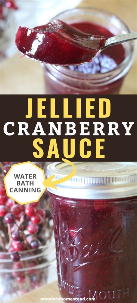 Homemade Jellied Cranberry Sauce | Canning Optional | Recipe | Jellied cranberry sauce ...