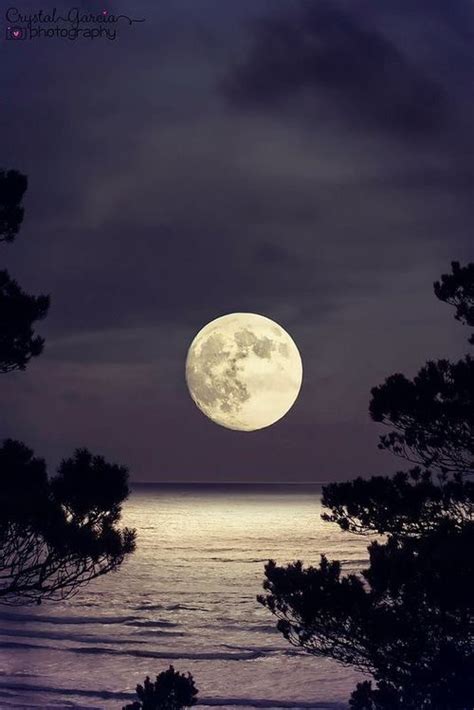 Fabulous Full Moon Photography To Keep You Fascinated – Bored Art