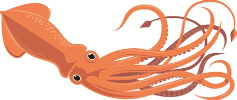 Giant Squid Clipart | Free download on ClipArtMag