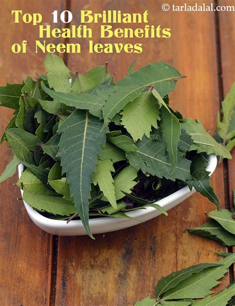 10 Brilliant Health Benefits of Neem leaves + Nutritional Information