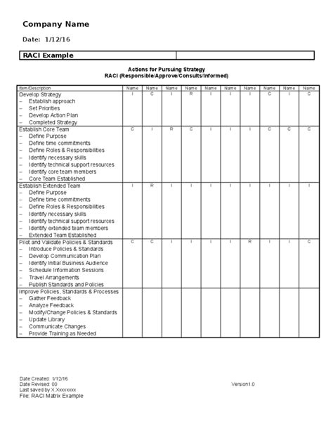 RACI Matrix Example Form Free Download