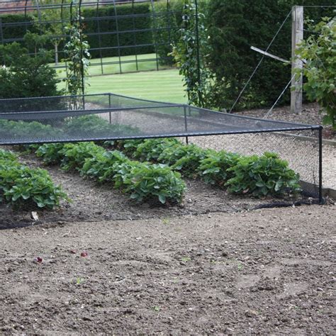 Harrod Black Aluminium Strawberry Cage - Harrod Horticultural (UK)